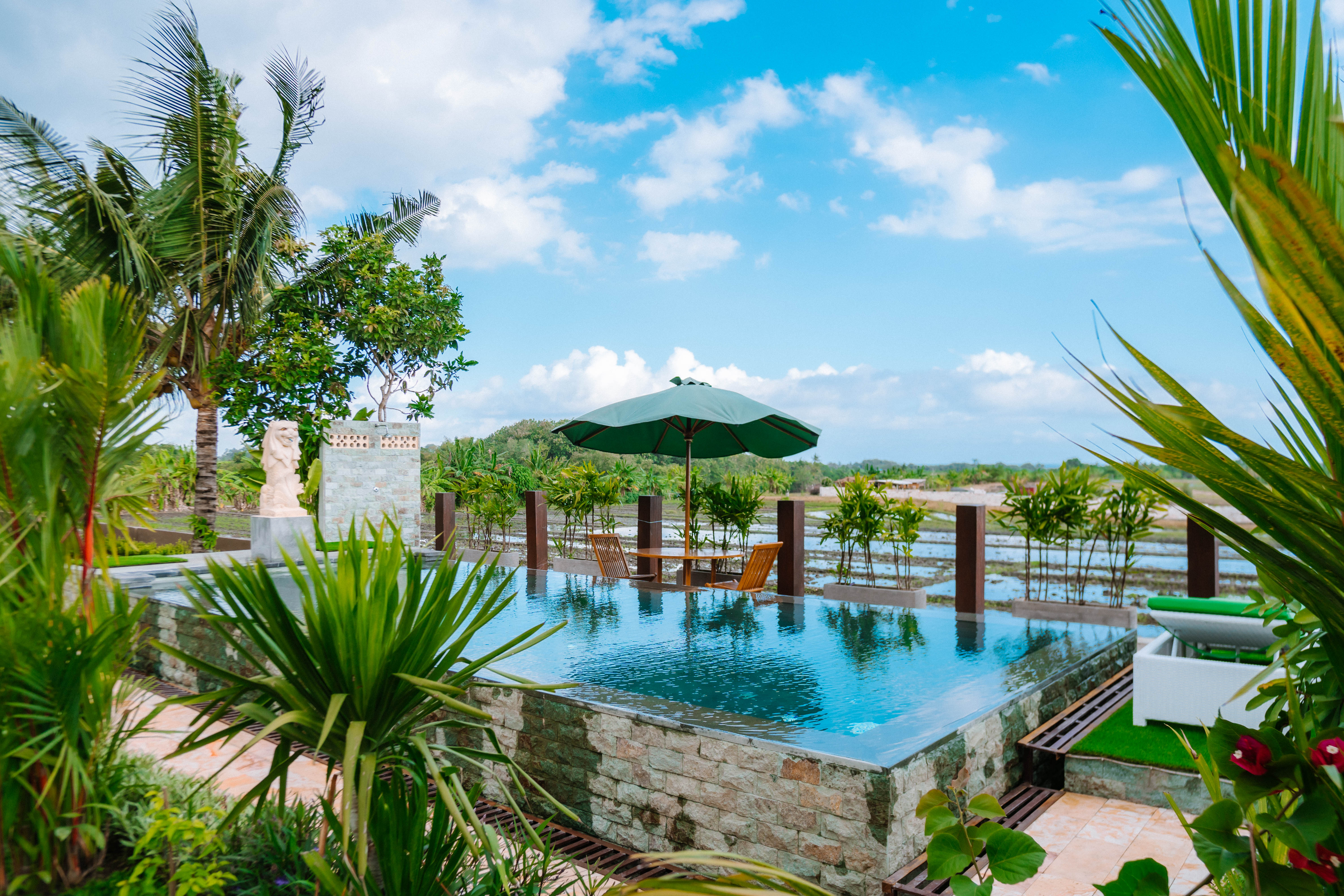 Green Point Retreats pool overlooking Bali rice fields